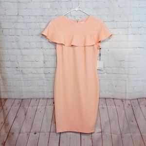 Calvin‎ Klien  Woman's Pink Short Sleeve Form Fitting  Dress sz 6 NWT $  134